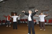 QI GONG „Fliegen wie eine Wildgans“